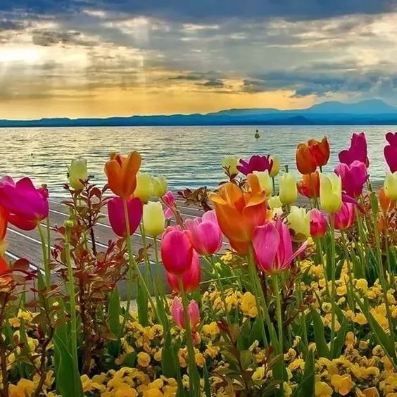 童声飞扬原唱完整版,童声飞扬诗歌朗诵