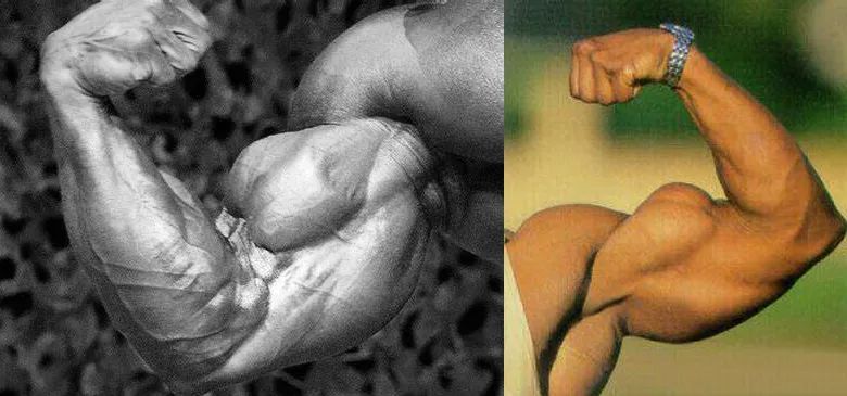 肱二头肌为什么不容易练大,苦练肱二头肌