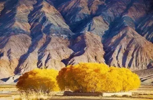 新疆喀什到巴基斯坦需要怎么过去,喀什通巴基斯坦公路