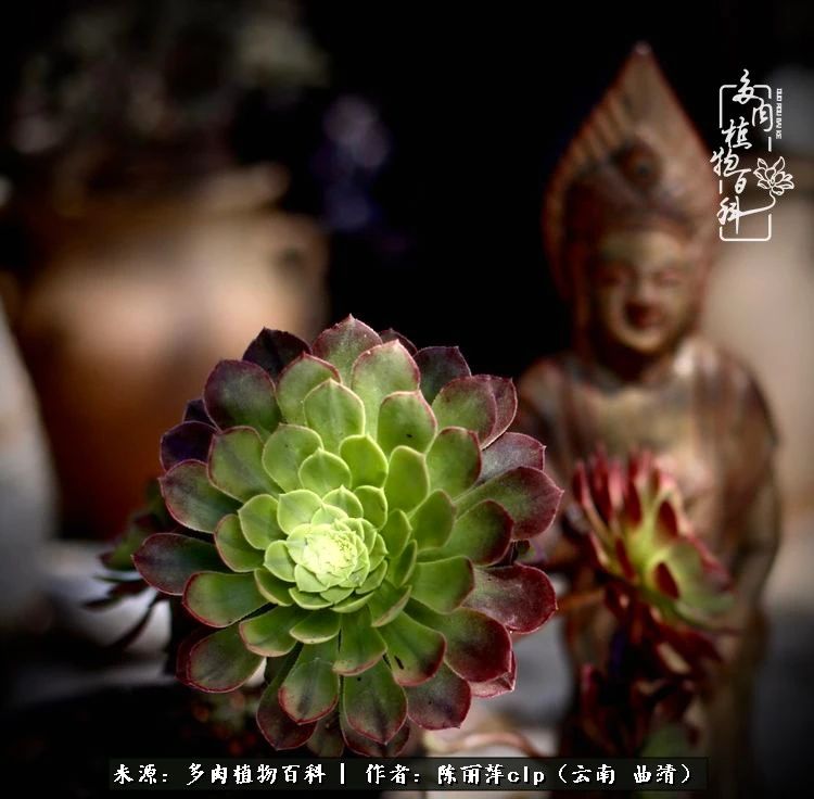 佛系看风景的地方,佛系风景空境视频