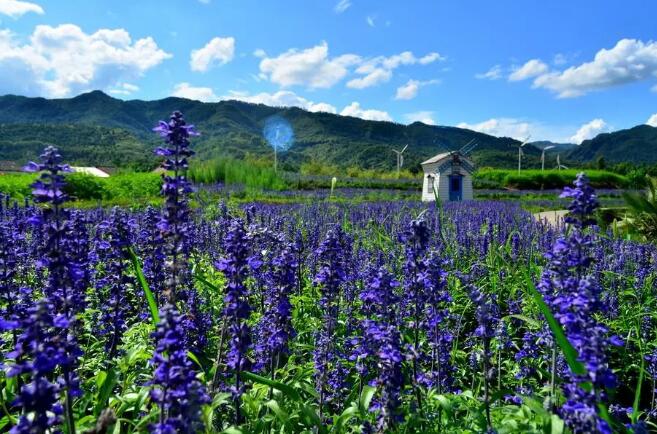 重庆各区县的特色美食,重庆美食最多的区县