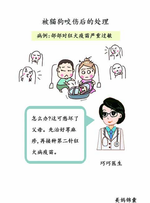 打狂犬病疫苗过敏怎么办,宝宝打狂犬疫苗过敏了怎么办