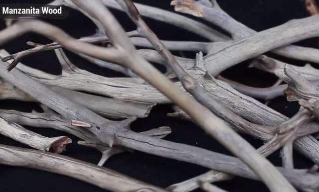 莫斯树到底好不好,莫斯树是什么