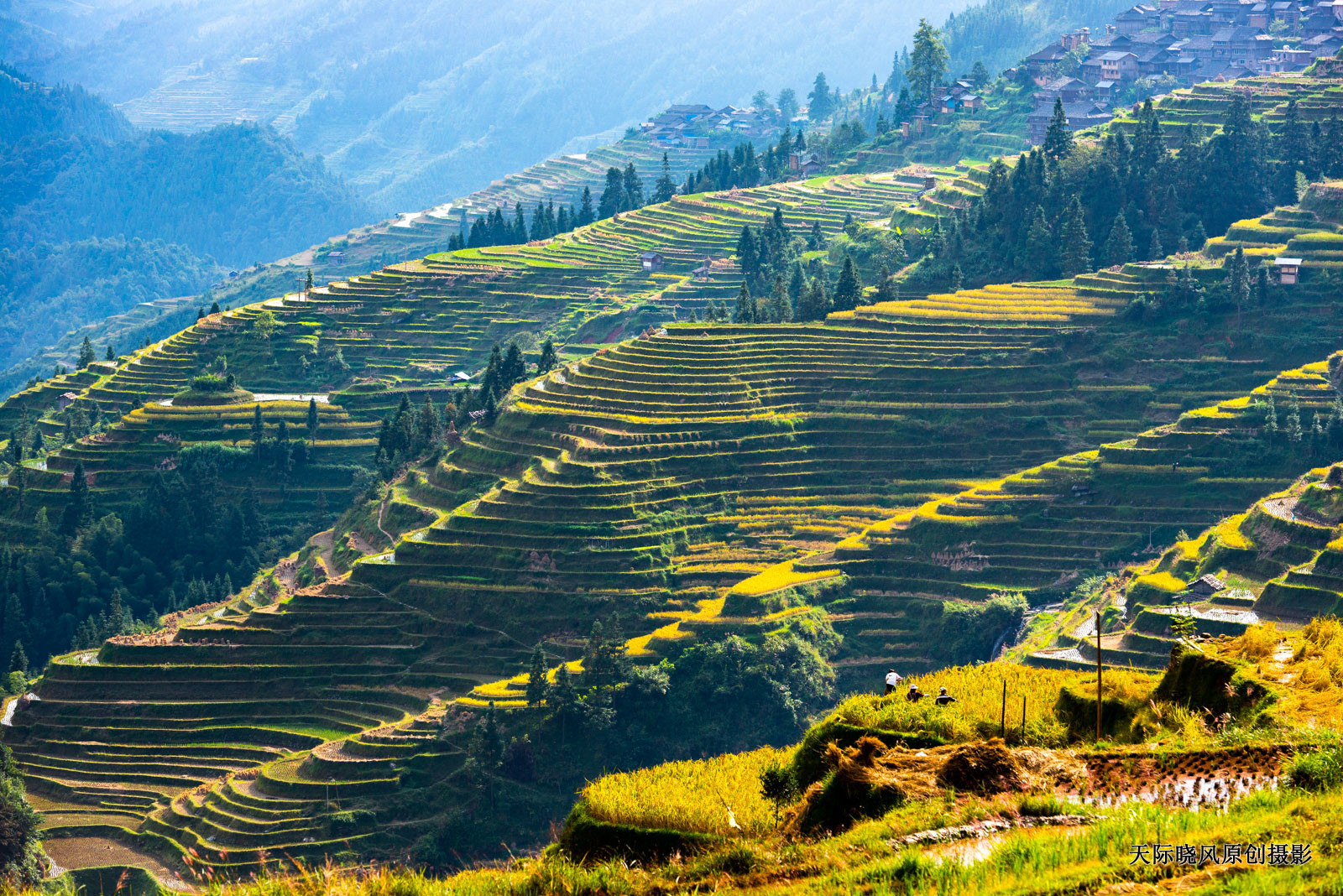 贵州加榜梯田简介,加榜梯田苗族完整版