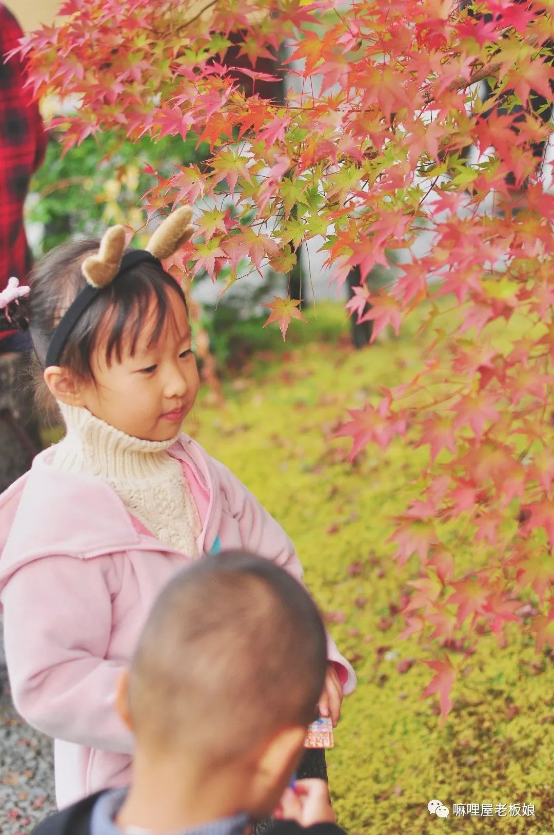 京都和大阪地理位置,京都奈良大阪位置