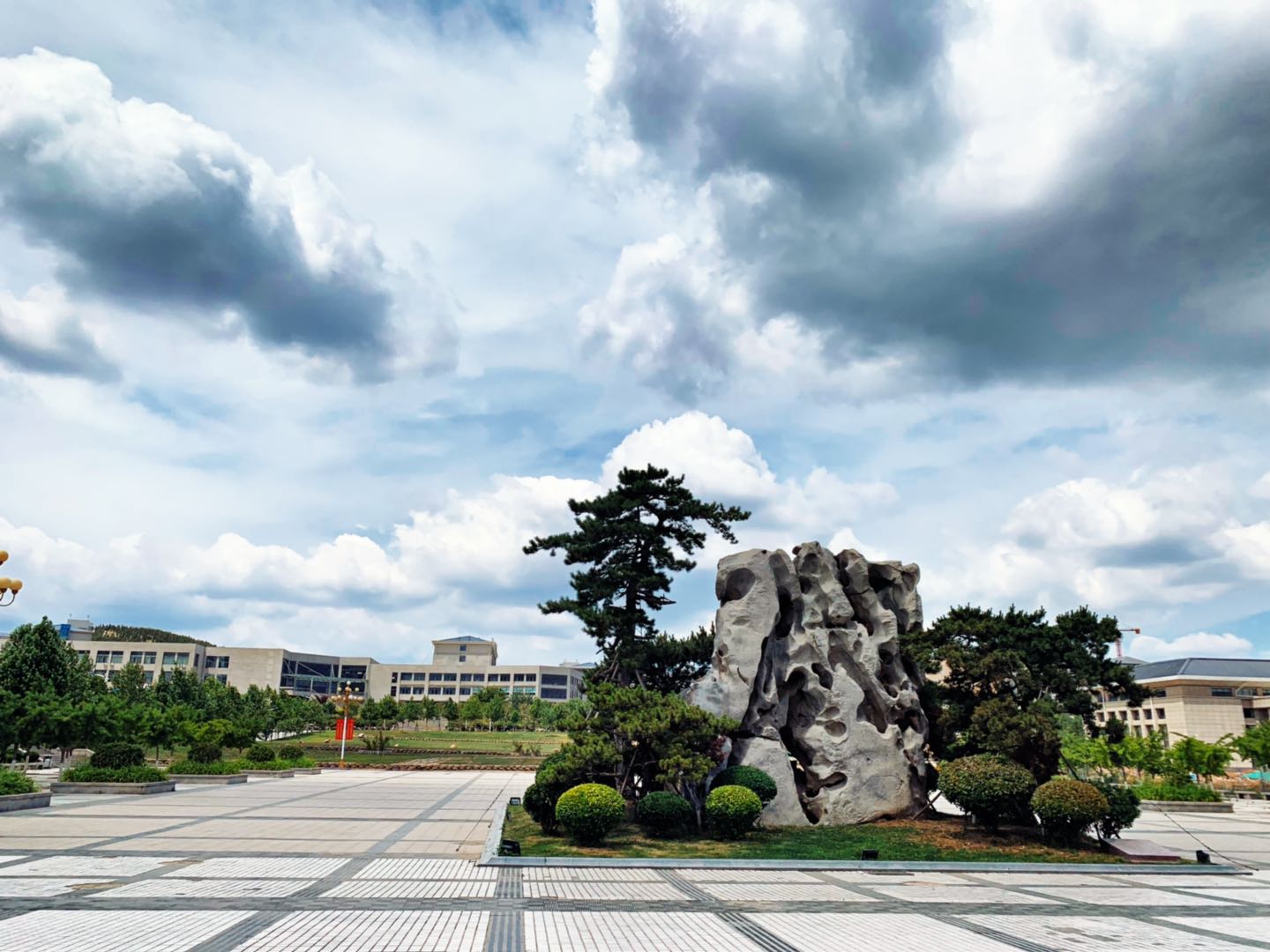 山东警察学院毕业分配去向,山东警察学院是一本吗