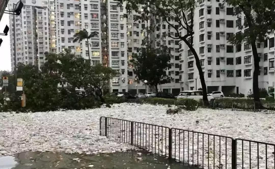 七宗罪揭露真实人性,七宗罪现实版