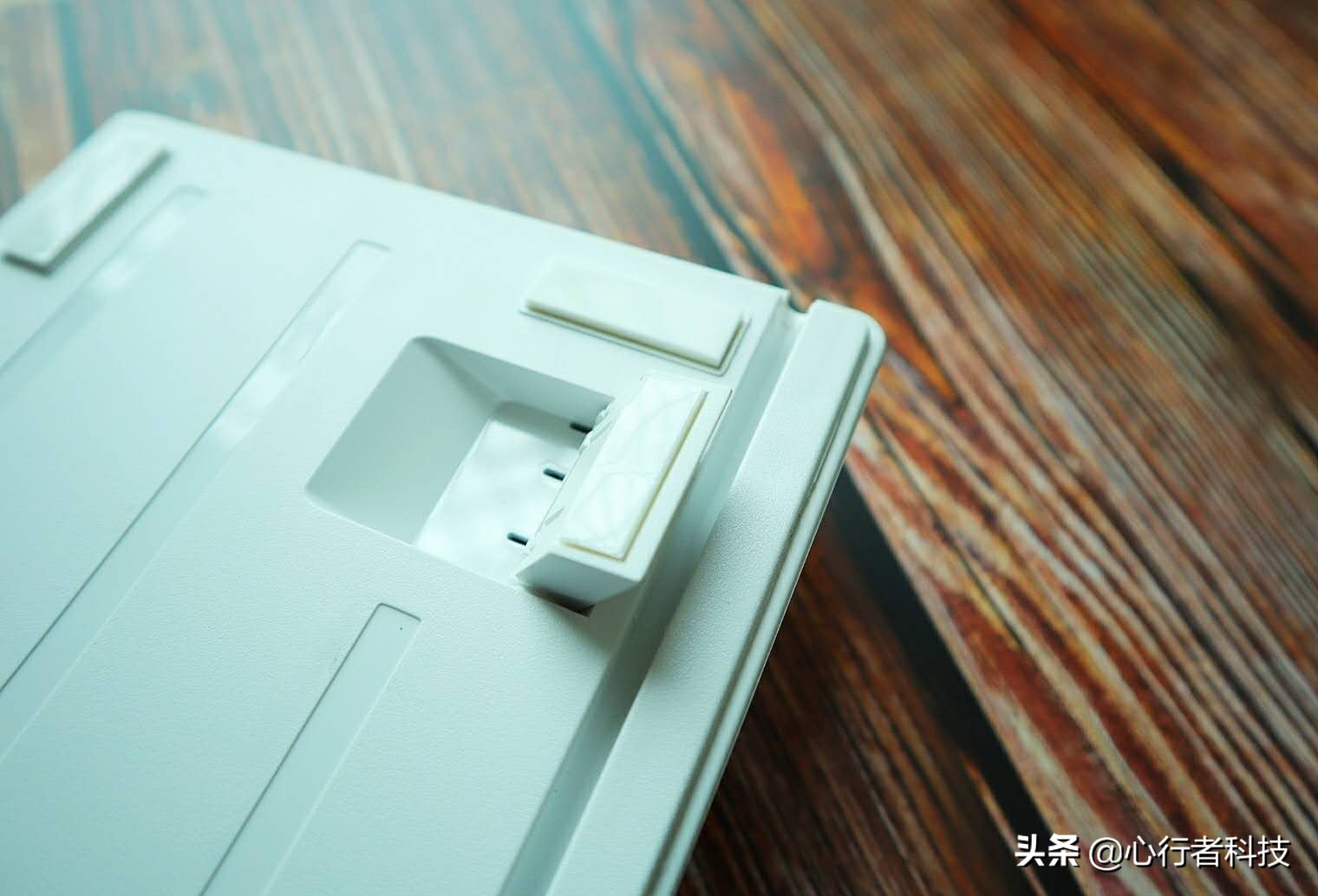 蜻蜓点水立指尖——黑爵蜻蜓键茶轴体验