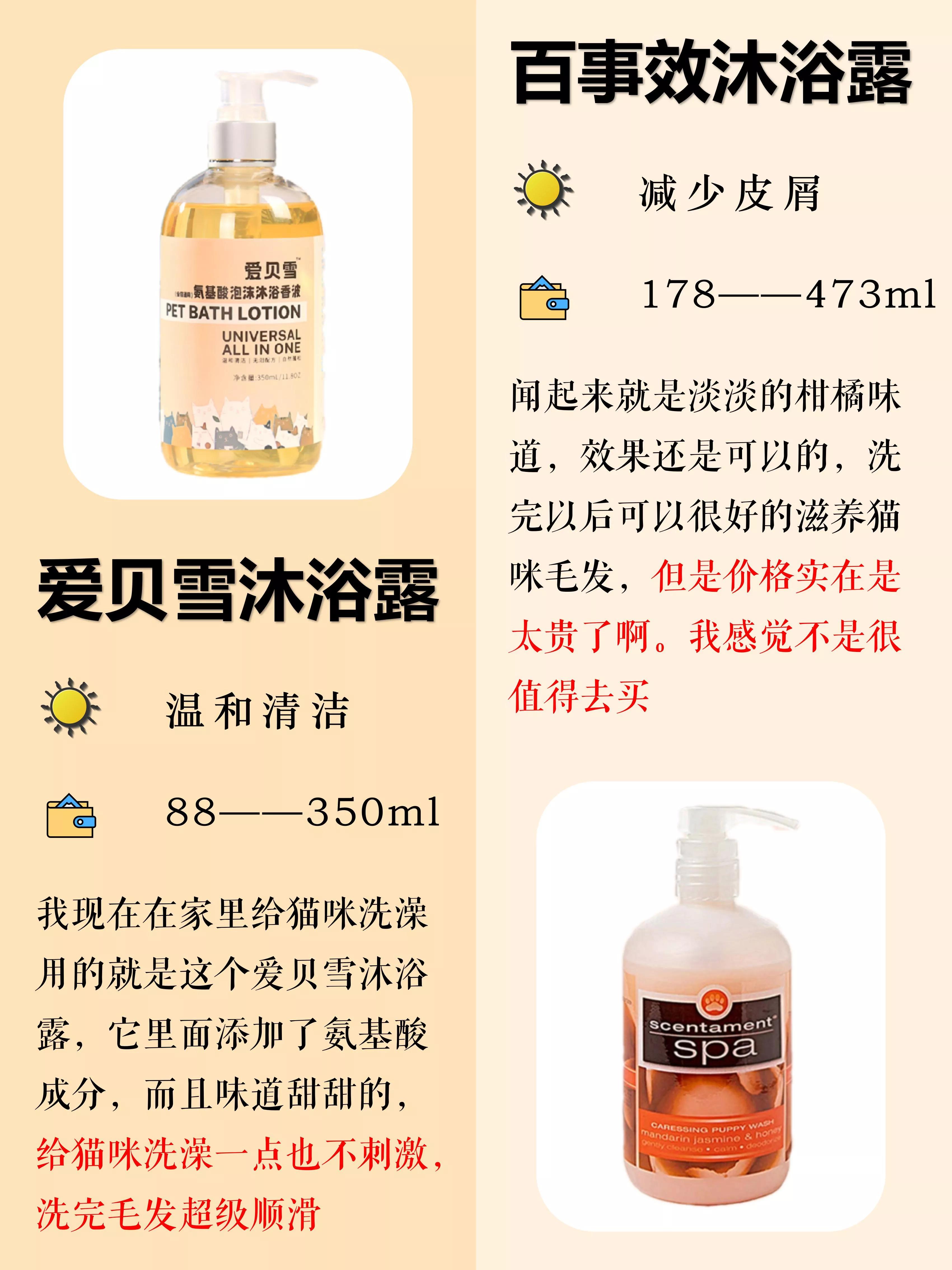 养猫新手给猫咪洗澡需要注意什么,猫咪洗澡攻略如何正确地给猫洗澡