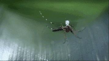 方形紫光灯灭蚊神器,新款灭蚊灯家用物理灭蚊神器