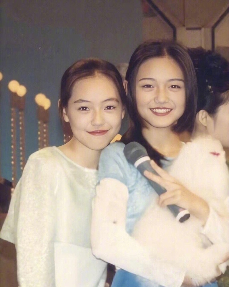 李冰冰姐妹花在娱乐圈打拼靠什么,李冰冰有多少财富