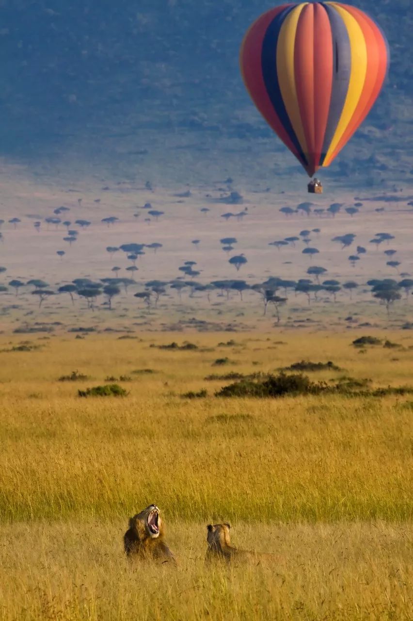 世界上最幸福的10件事是什么,世界上最幸福的10件事