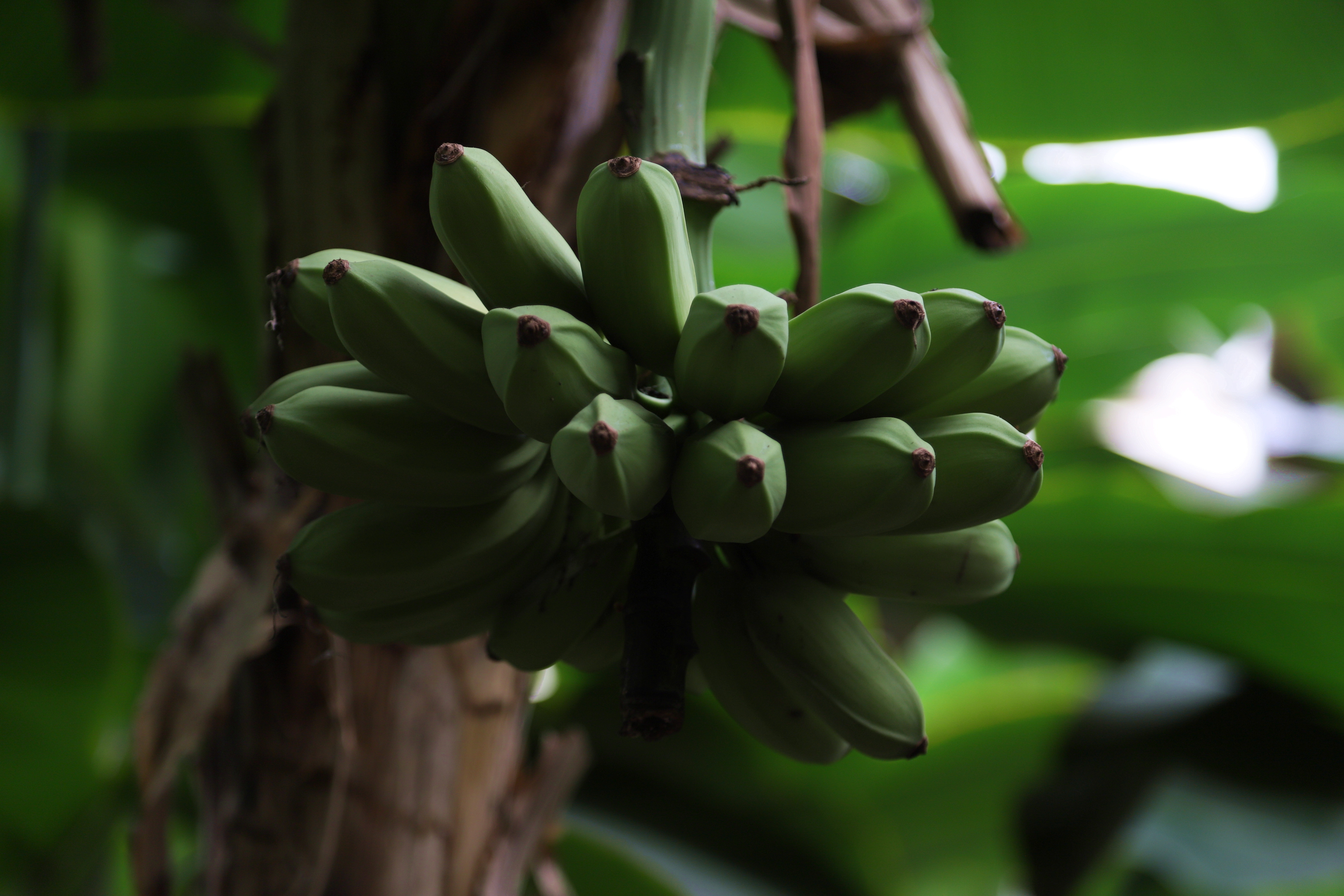 在心灵的栖息地遇见第五季