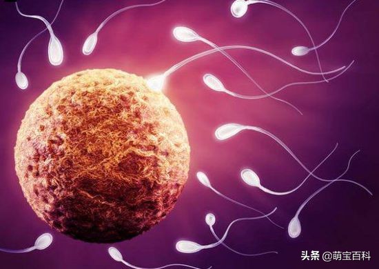 夫妻排卵的条件是什么,夫妻都正常排卵期没怀孕