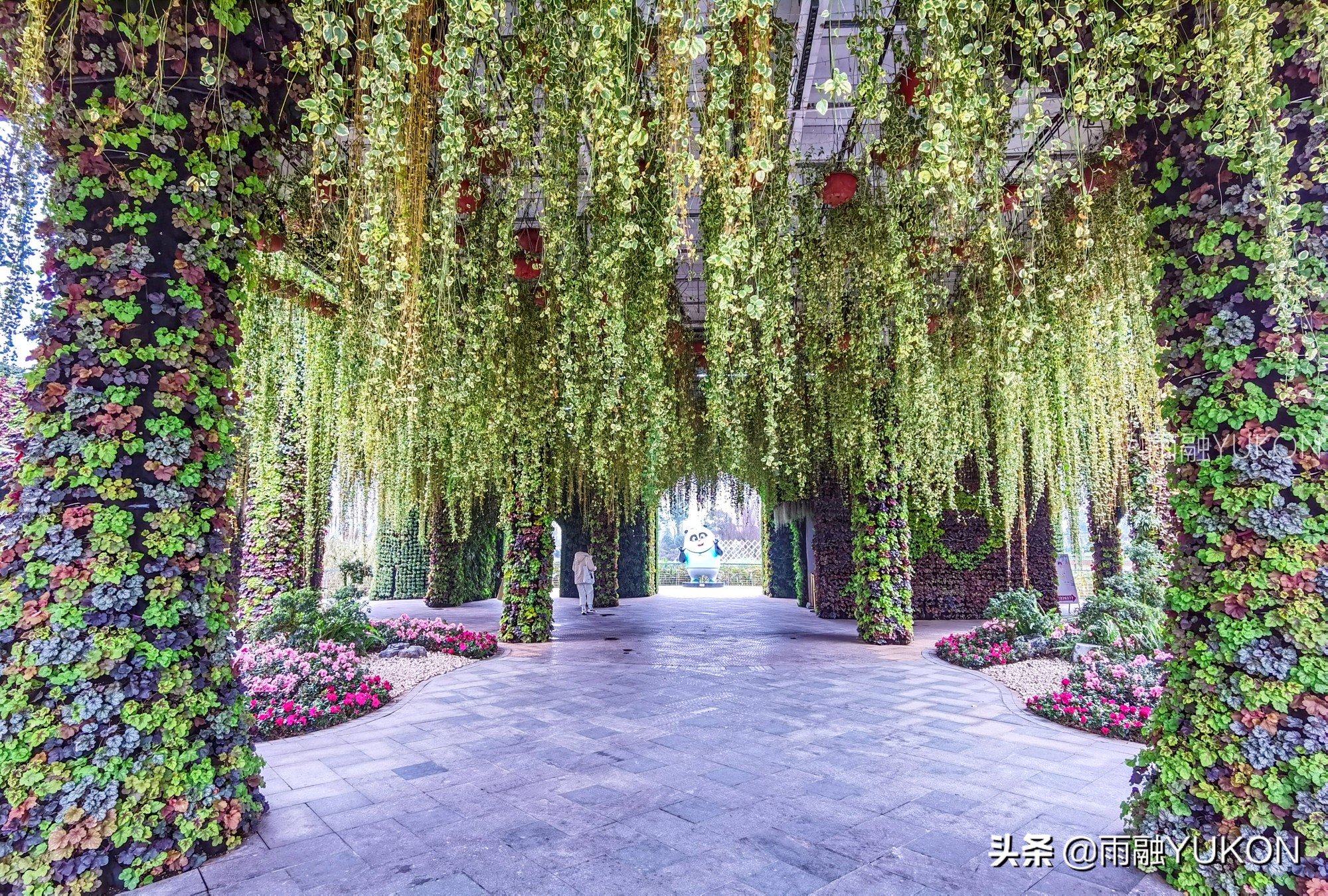 坐拥2项世界纪录的公园:拥有2.2万平米花海,门票仅30元却少有知