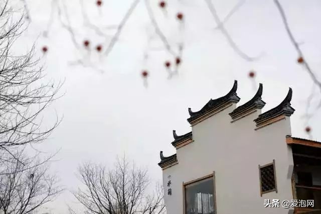 值得一去的温泉民宿,与大自然融为一体的民宿温泉