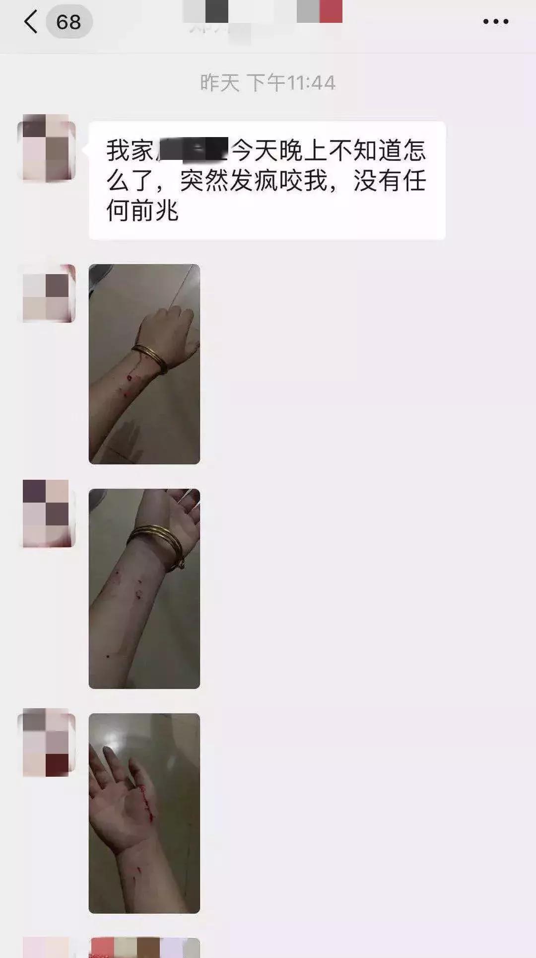 养了好多年的猫突然怕我,养了五年的猫很想把它扔了