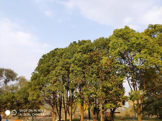 小米mix3夜景曝光,小米mix3夜景拍月亮