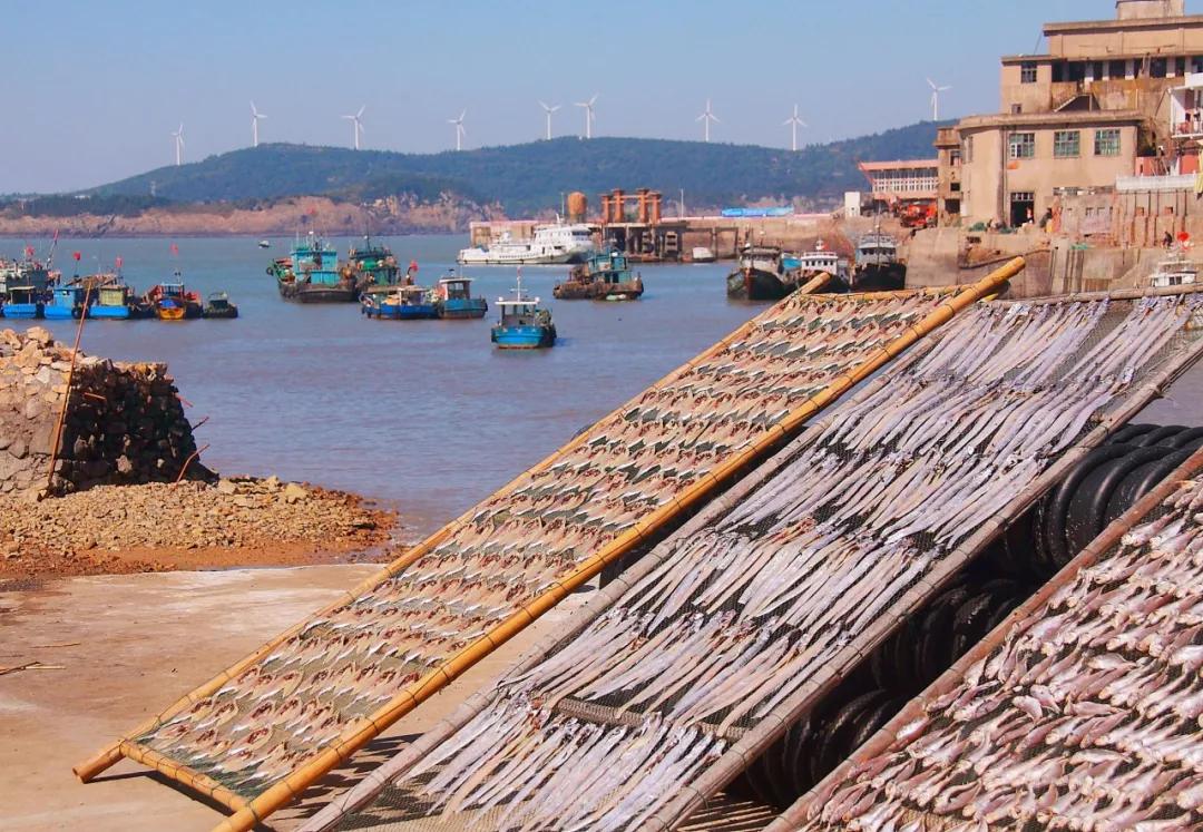浙江冬天哪里风景最美,浙江冬天风景图片
