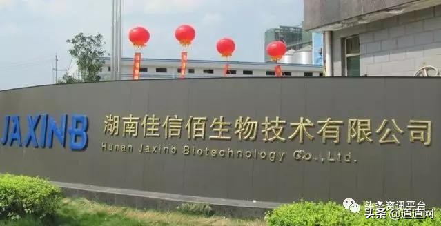 从天瑞系统到“抖哥抖姐”，几经辗转后的王勇还有什么拿手绝活？