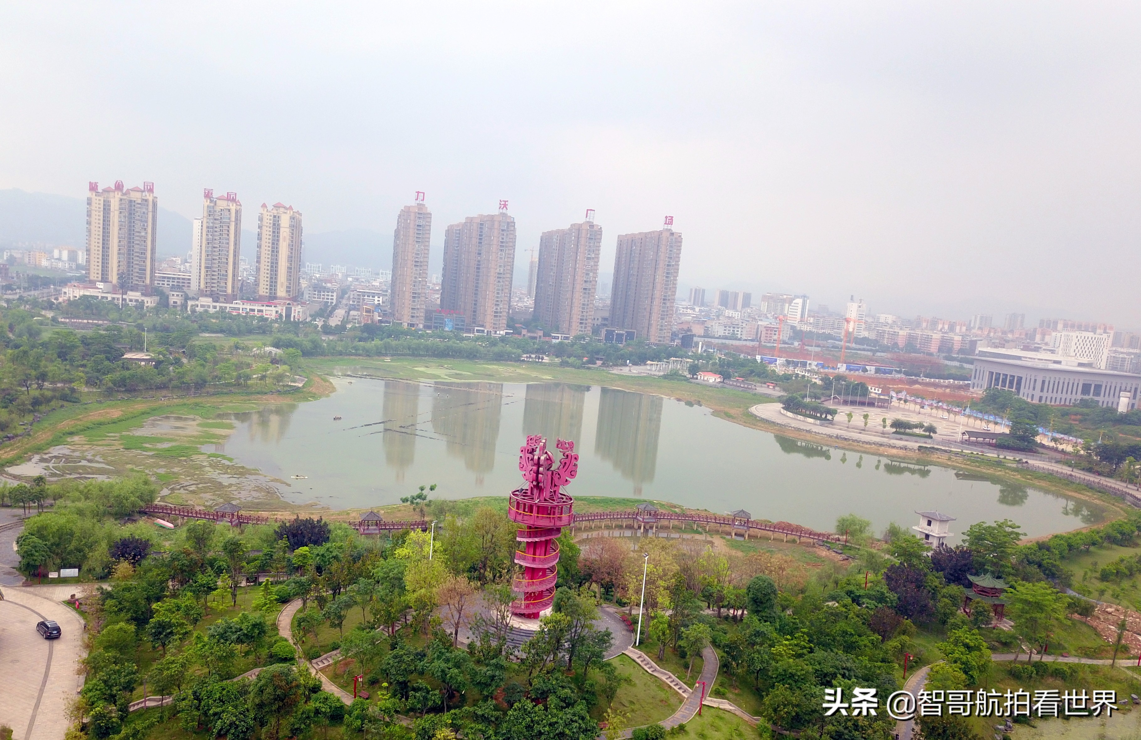 广西宾阳炮龙乡视频,宾阳炮龙之乡新闻