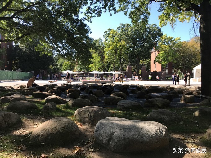 哈佛大学在美国哪个城市,美国哈佛大学国际学院世界排名