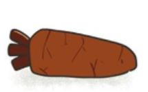 通过便便观察动物的健康,怎么判断宠物大便是否正常