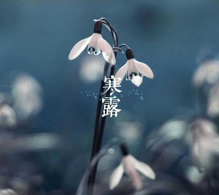 「诗词鉴赏」秋深寒露候，古诗词里的寒露，静看秋意渐浓