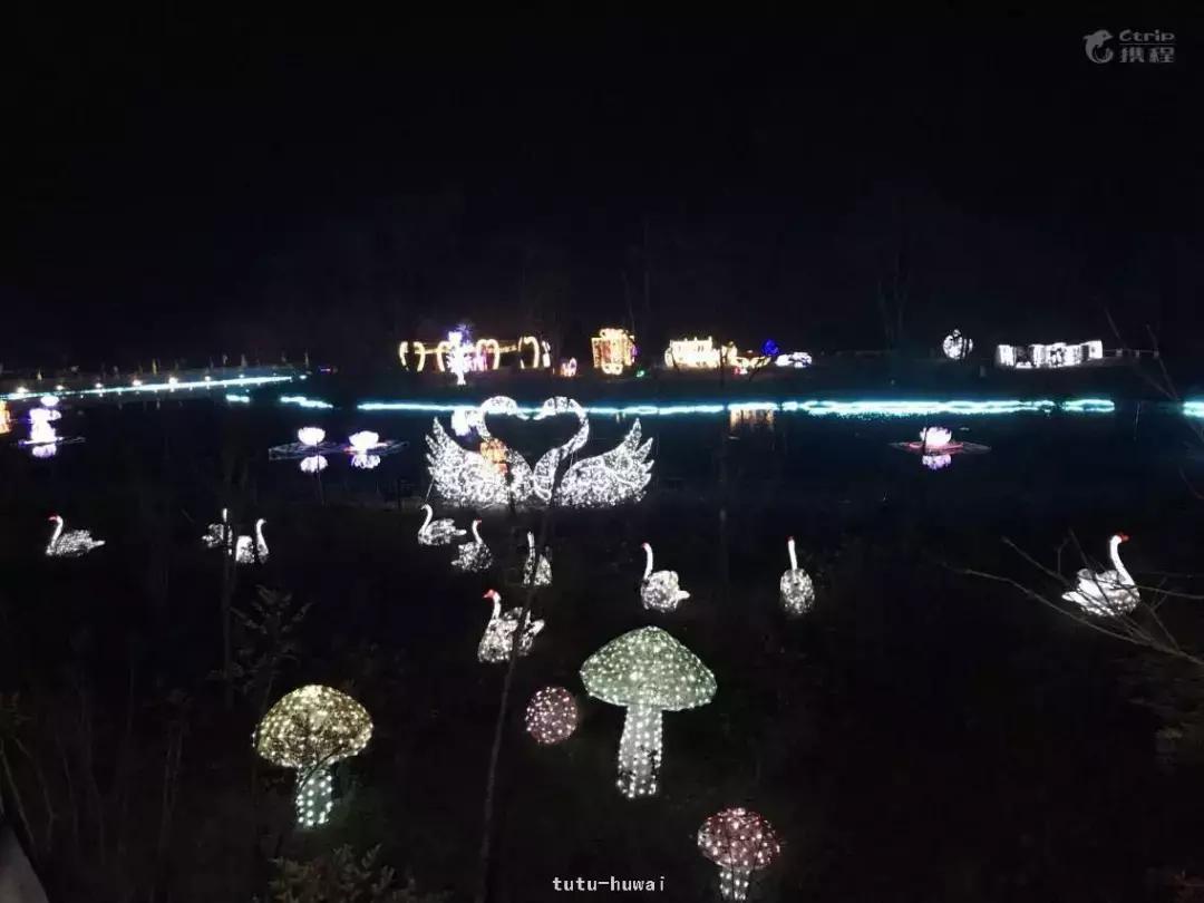 上焦山看云海，奇趣动物之旅，这个地方离成都只有4个小时车程