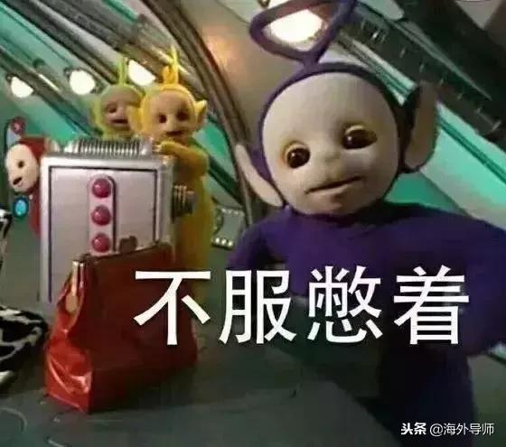 学英语从骂人开始,学英语先从骂人开始