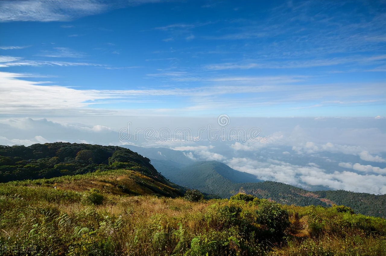 脑鸣和耳鸣偏方,耳鸣脑鸣小偏方