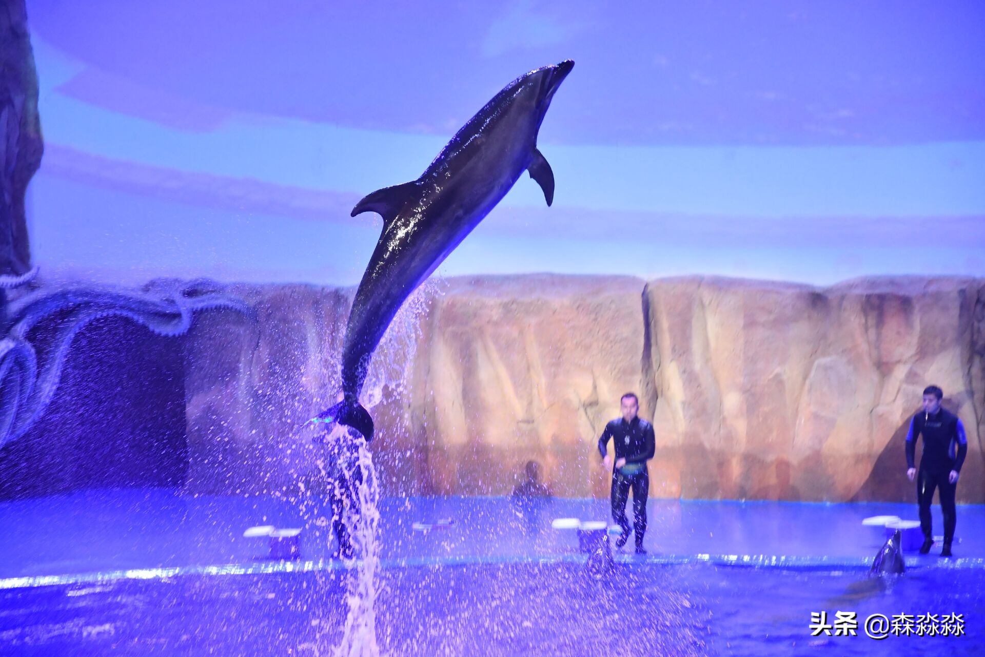 西安研学旅游活动,放飞海洋梦想感受丝路传奇手抄报