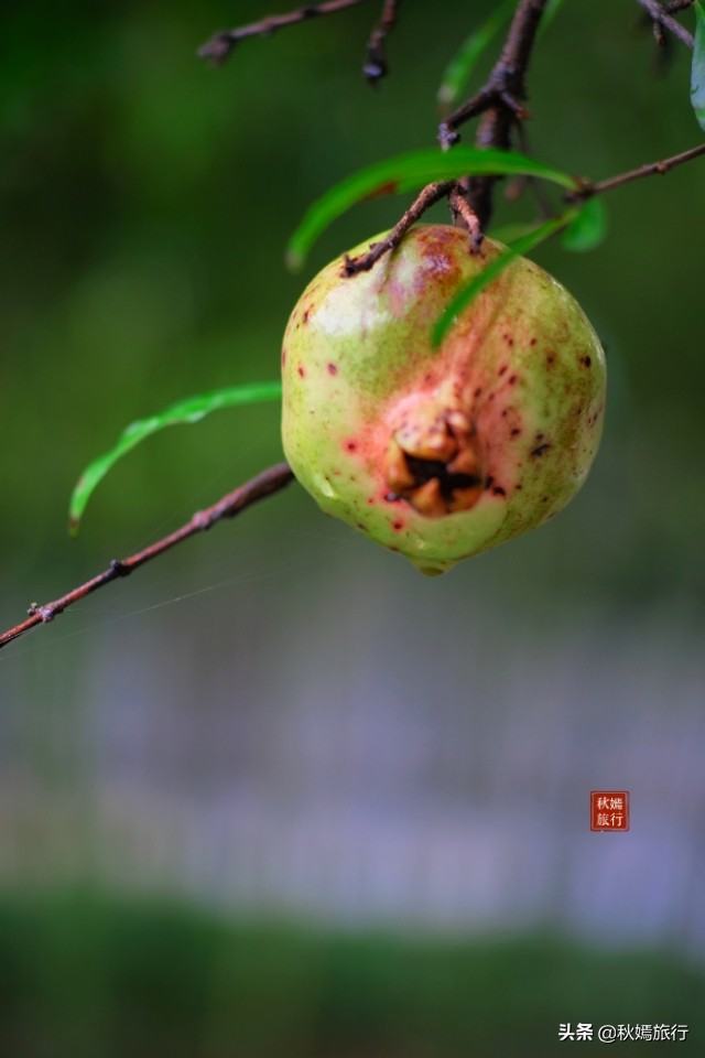 苏州古典园林风景欣赏,常熟江南园林