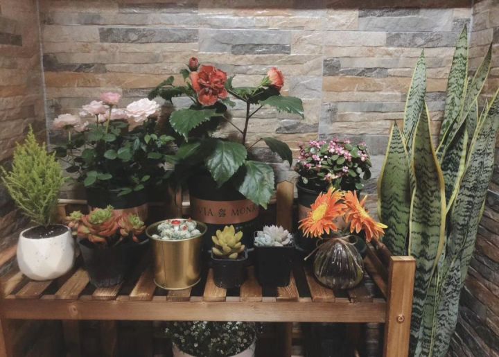 装修房子从头到尾避坑指南,房子装修避坑攻略