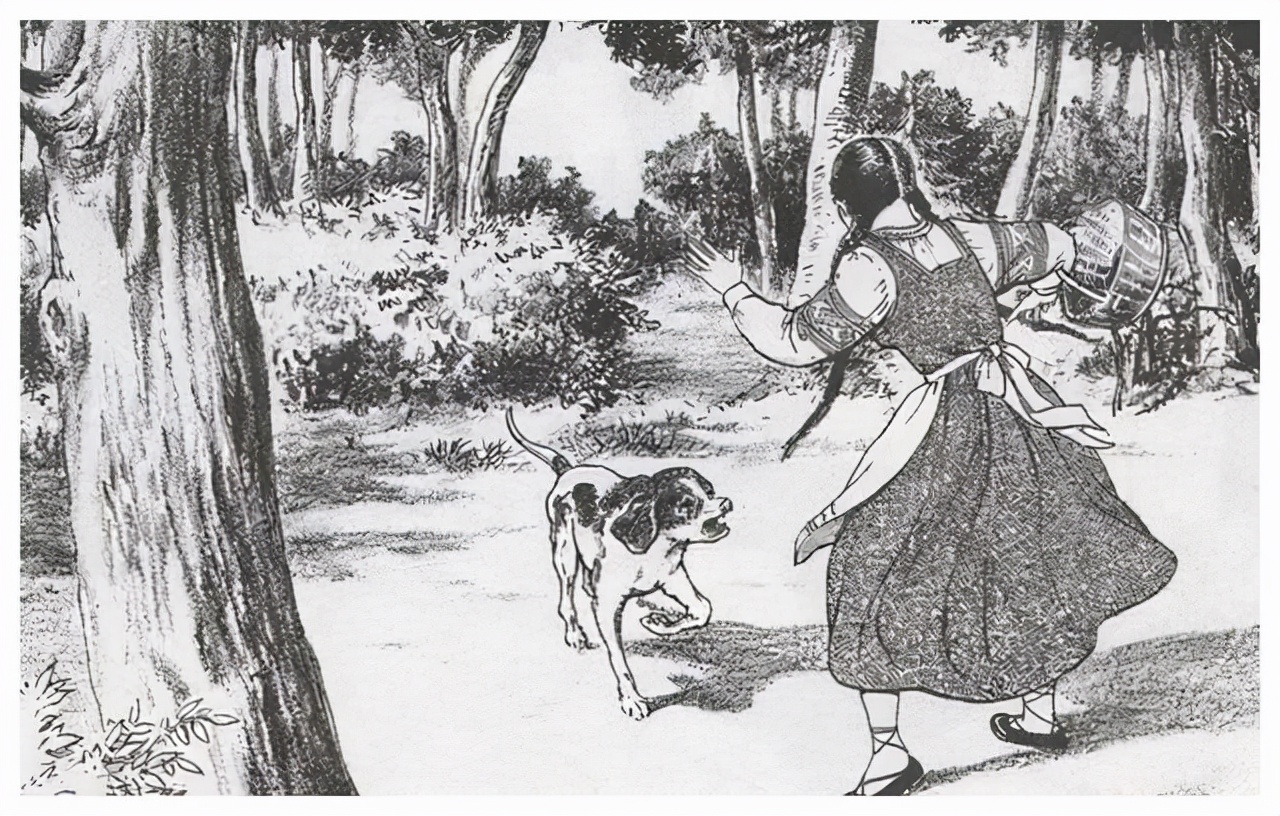 老狗临死前跑到野外和主人告别,养了16年的狗临终前跟主人告别