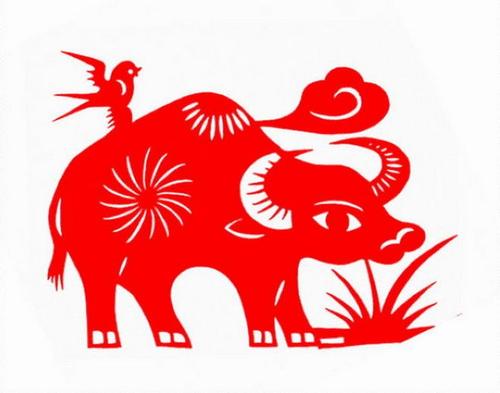 属鼠人在庚子年的运势,会看相的庚子鼠年运势如何