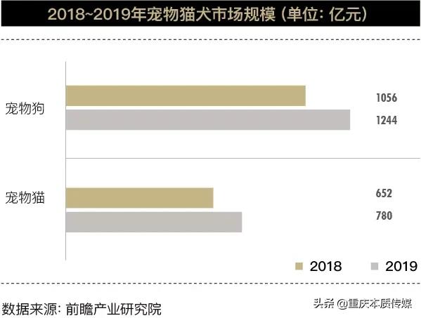 当宠物碰到外卖,社交宠物电商