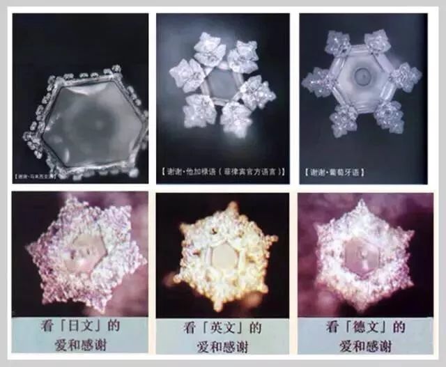 喝过真正的好水吗？喝酵素，首先就意味着喝好水