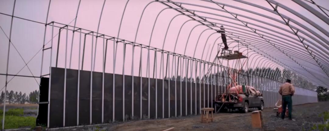 董菜菜真名,董菜菜抖音