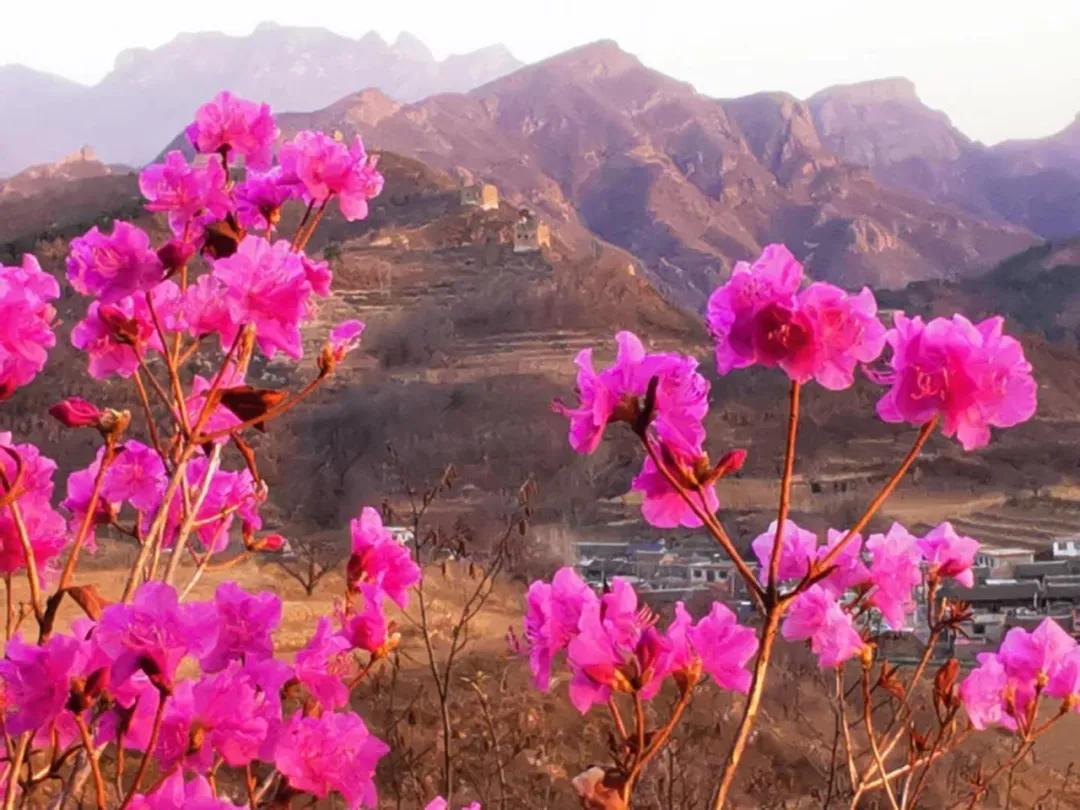 又是一年春光好完整版,又是一年春光好文明旅游