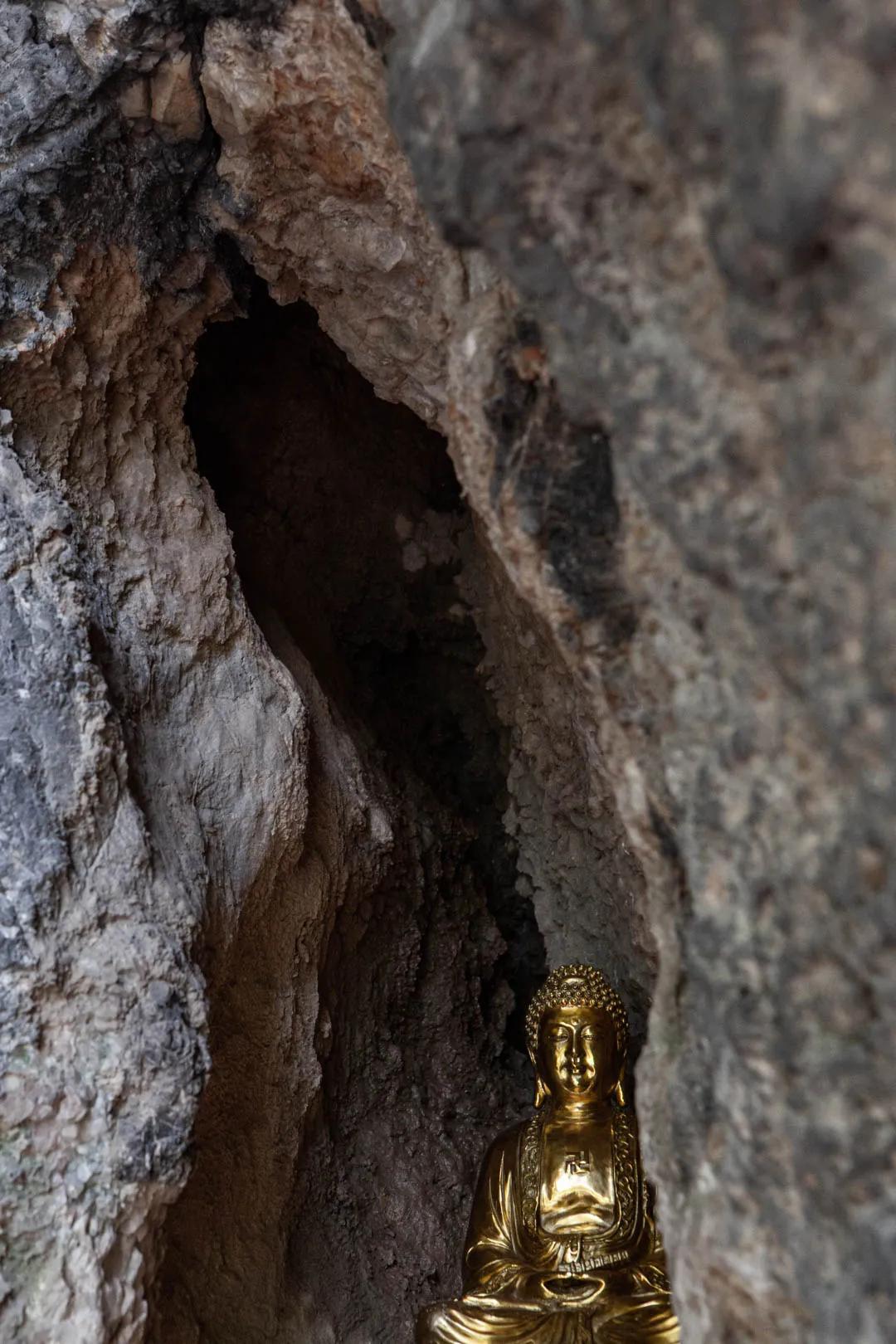 杭州凤凰山爬山最佳路线图,杭州百寿山景区