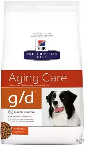 毛孩子偷吃东西被发现,毛孩子吃东西被发现了