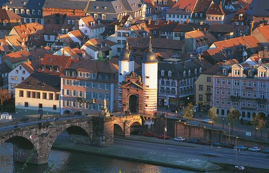 原来海德堡除了有德国最顶尖的大学，还有这么优秀的文理中学？
