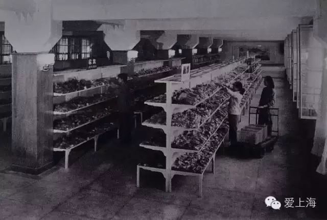 新疆天山一条街,天山一条街简介