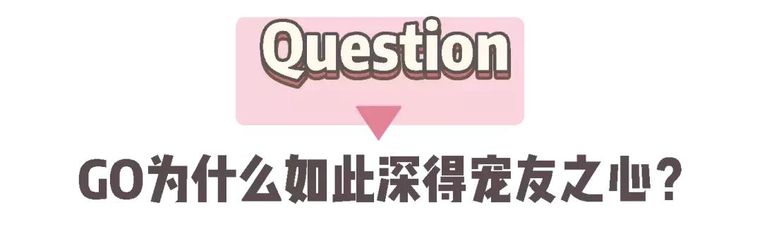 now和go区别,now和go猫粮哪个更好