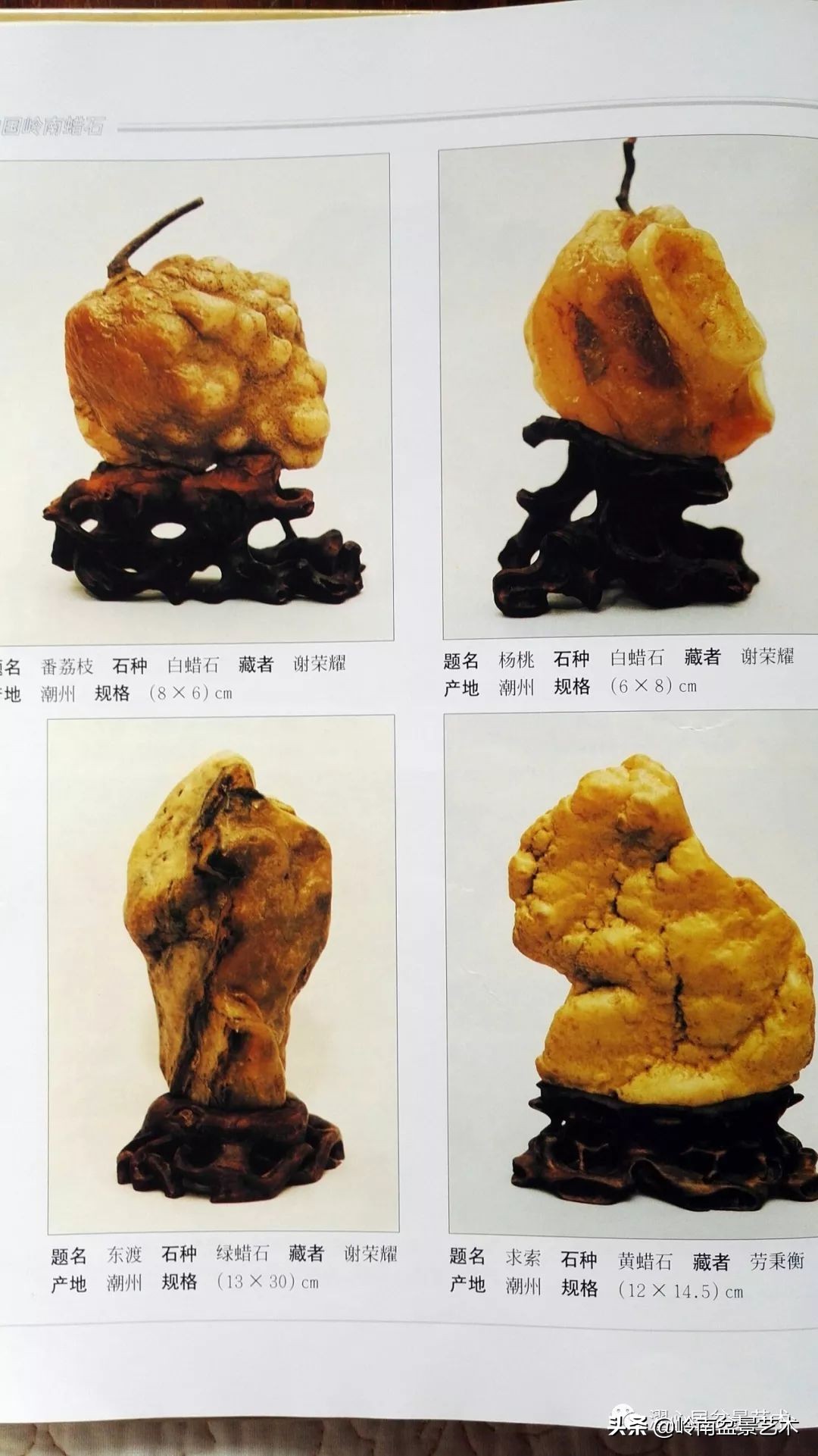 玩树藏石，不亦乐乎！