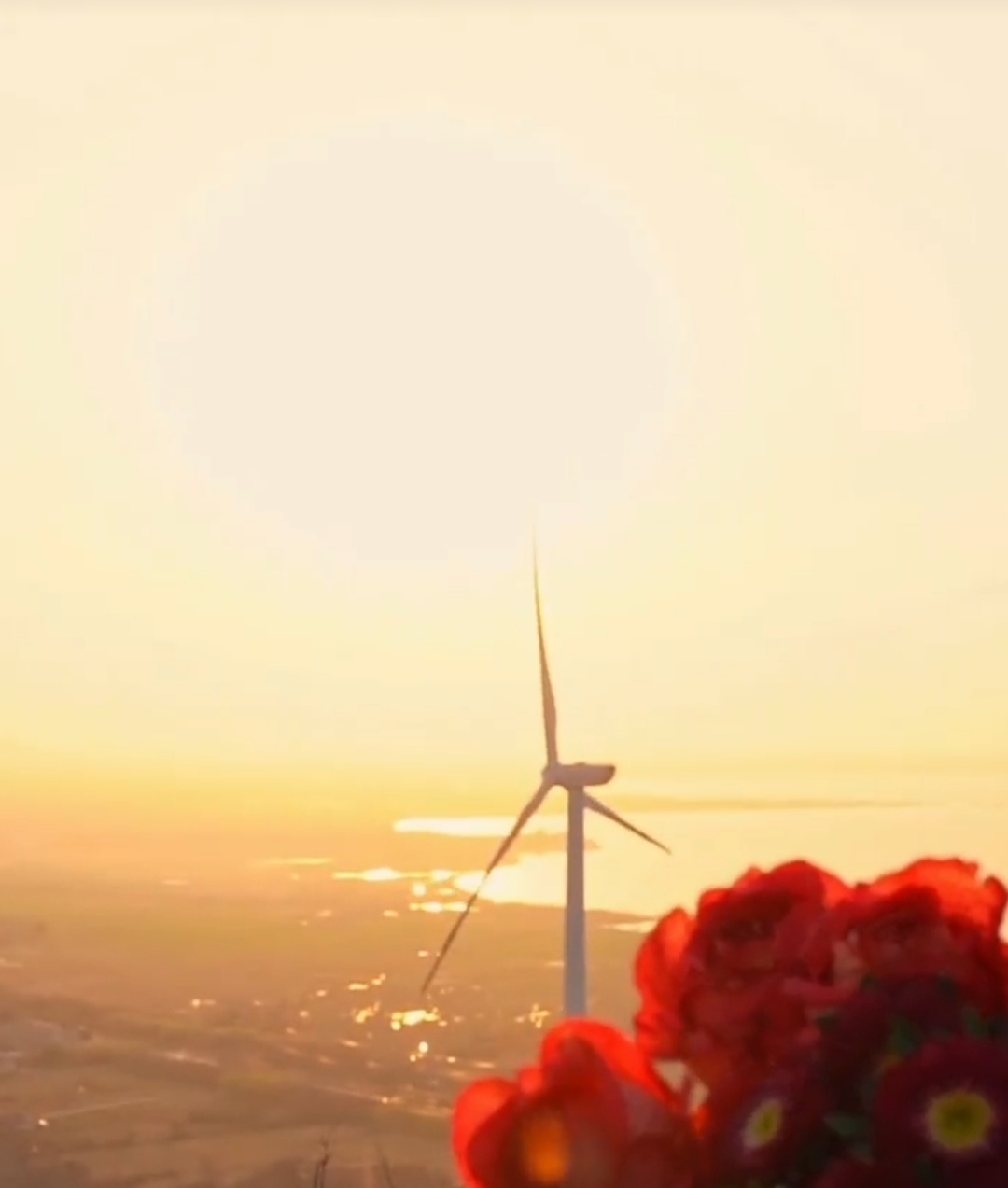 合肥姥山岛附近景点,合肥周边风车山