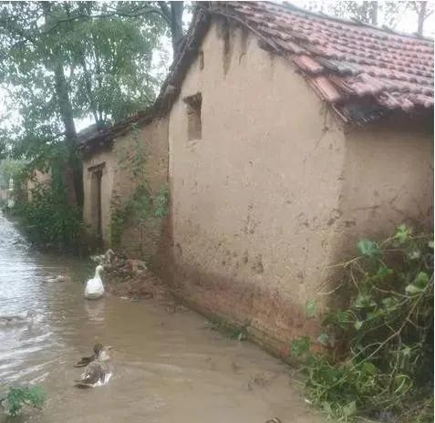今年闰月年天气预测,2020闰月和天气有关吗