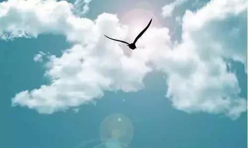 50个英语美句加赏析,50句极美的英文短语