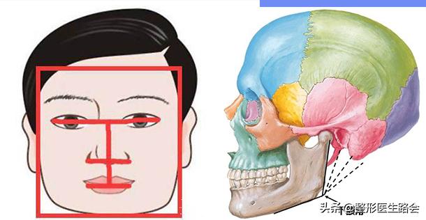 为什么你的脸越来越大,为什么你的脸会忽大忽小